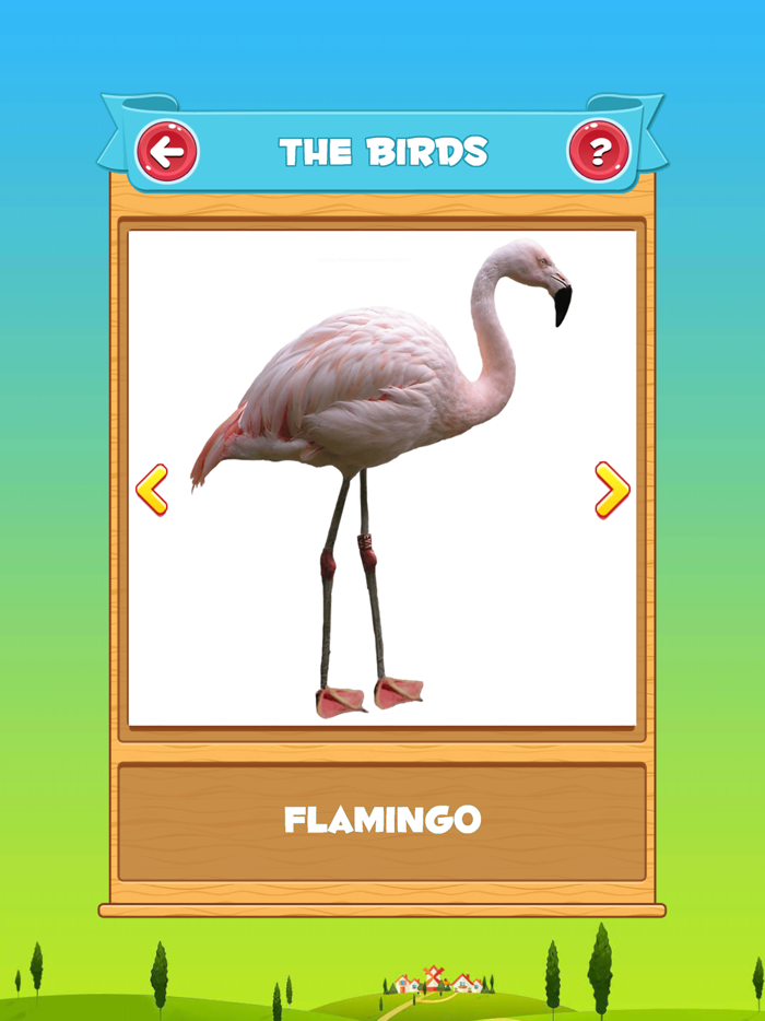 Learn the Birds Phonetic