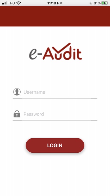 e-Audit