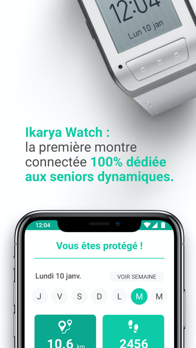 Ikarya Screenshot