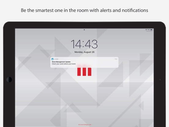 Strategy HyperMobile iPad screenshot 6 - Business app