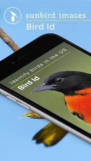 bird id usa - backyard birds problems & solutions and troubleshooting guide - 1