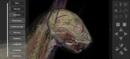 Game screenshot 3D Cat Anatomy apk