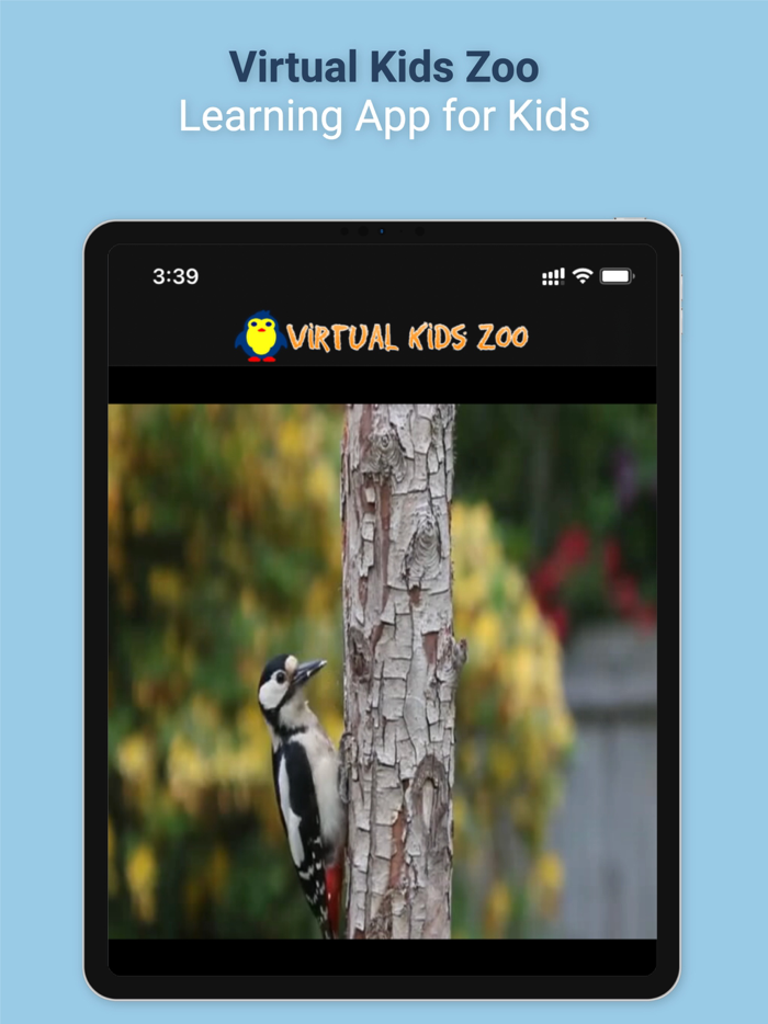 Virtual Kids Zoo
