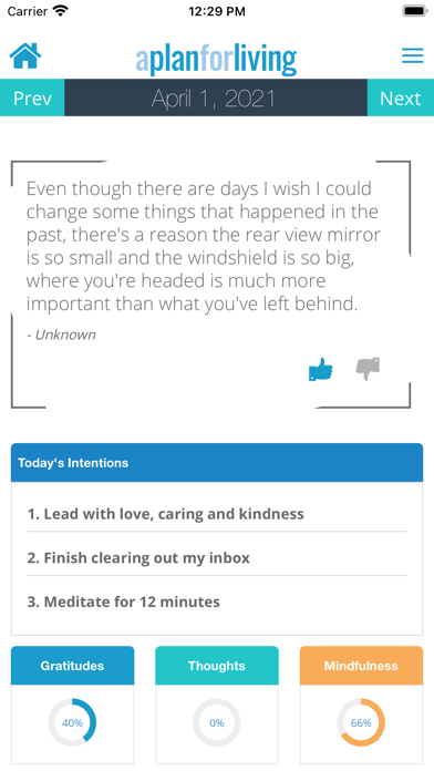 A Plan For Living Screenshot