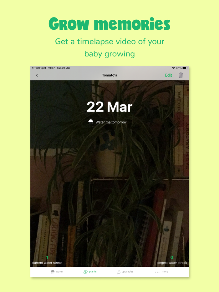 Happy Plant - No Water Thirst