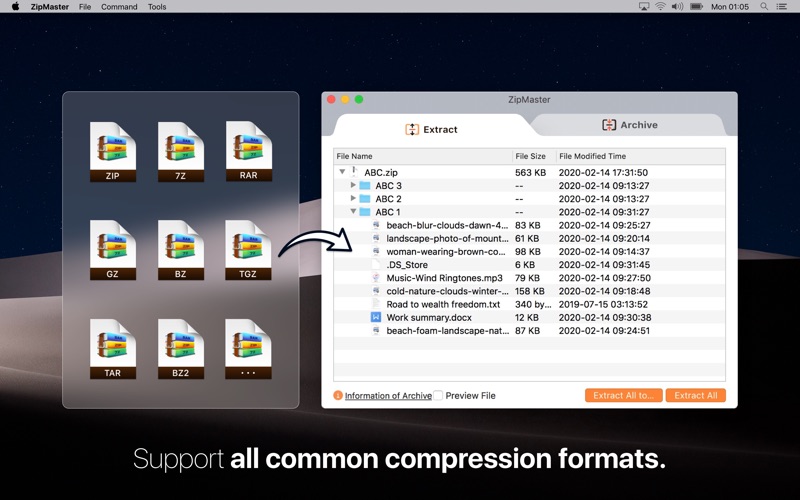 Screenshot #2 pour ZipMaster Pro