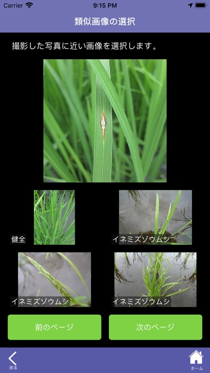 レイミーのAI病害虫雑草診断 screenshot-6