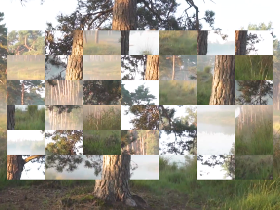 Video Puzzle Full Screen iPad screenshot
