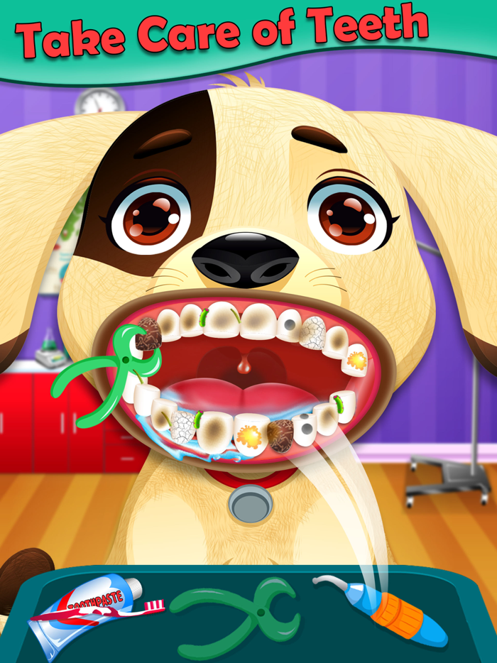 Pet Animal Dentist