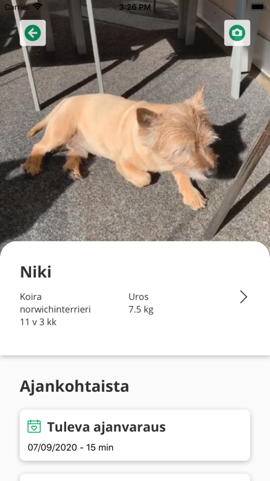 Eläinsairaala Mobiili Screenshot