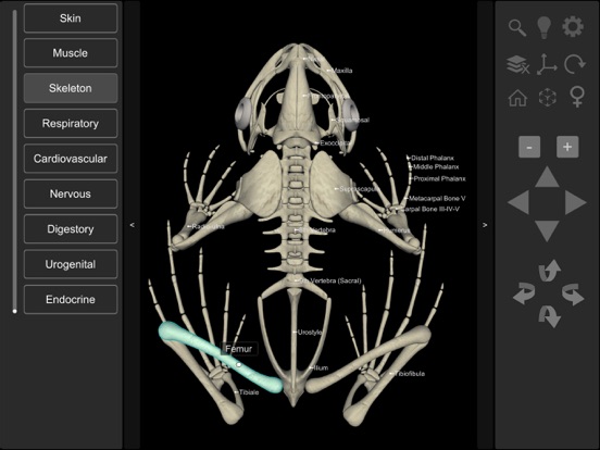 Screenshot #6 pour 3D Frog Anatomy