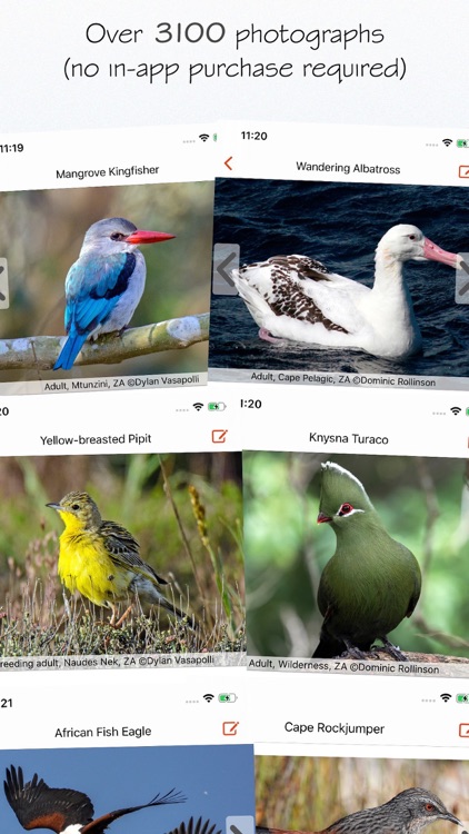 Sasol eBirds Southern Africa screenshot-3