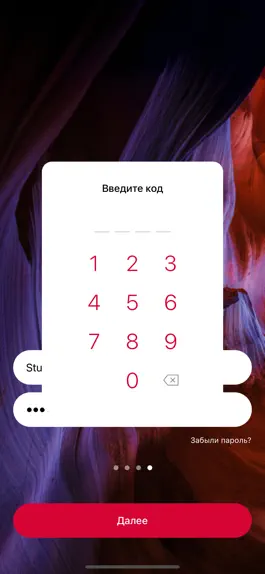 Game screenshot Platonus Student apk