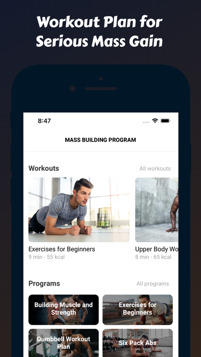 Mass Building Program Screenshot