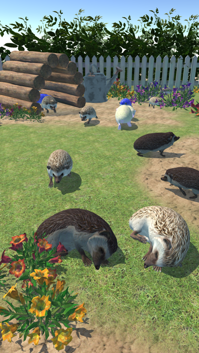 Hedgehog Friends Screenshot