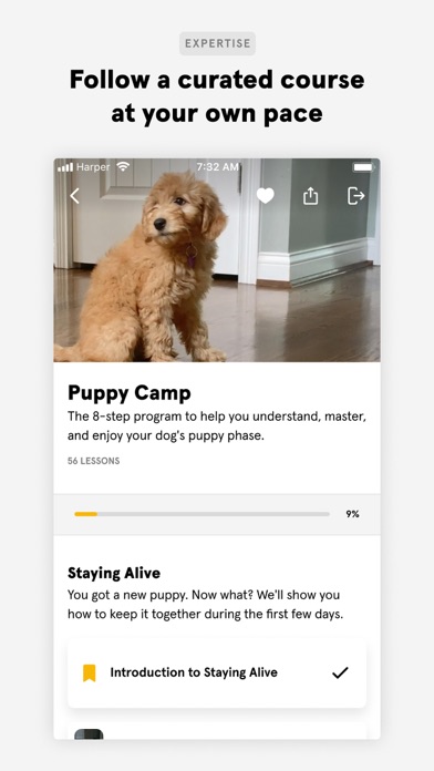 Harper — At home dog training screenshot 4