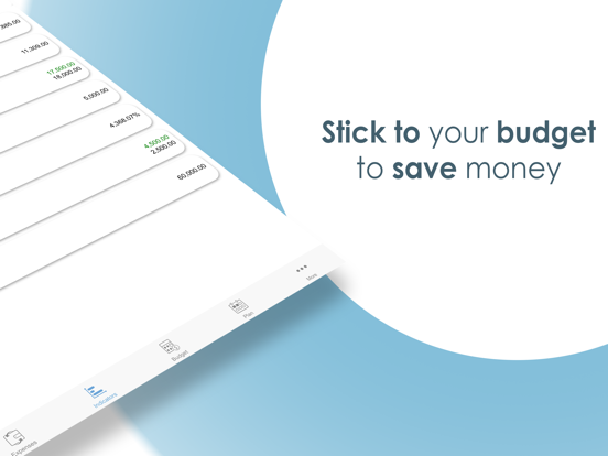 Budget Expense Tracker/Manager iPad screenshot 2 - Finance app