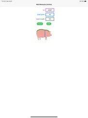 pig weight estimator ipad images 2