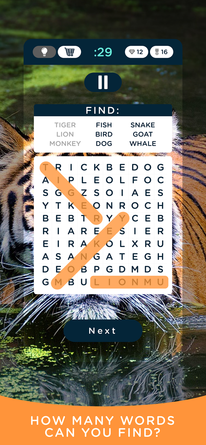 Word Search The Game