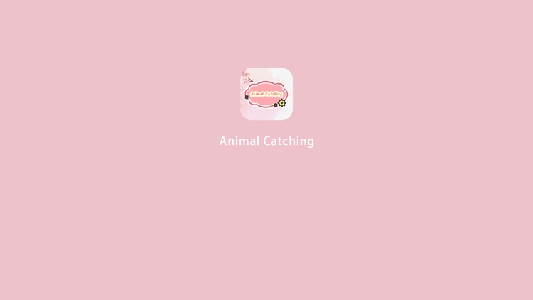 Animal Catching