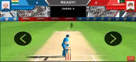 Game screenshot Cricket Death overs hack