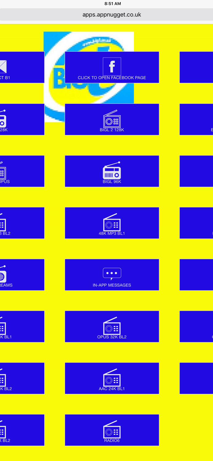 BigL Radio player v10