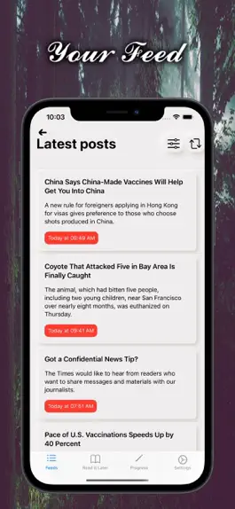 Game screenshot MyDailyNews mod apk