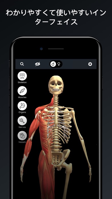 人体解剖・アトラス 3D：筋肉と骨格のおすすめ画像4