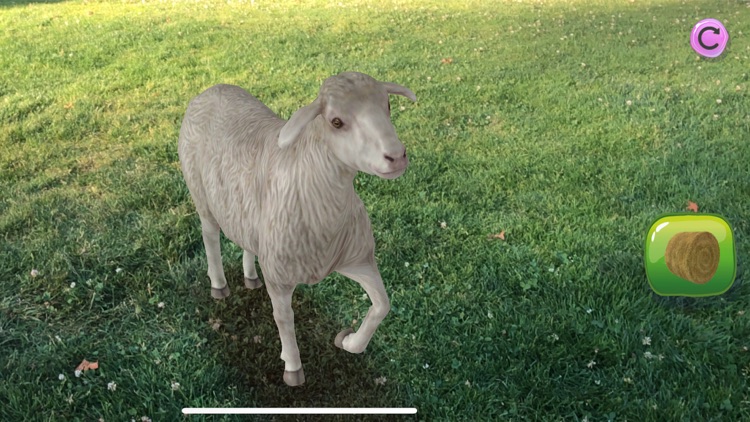 AR Petting Zoo 2 screenshot-6