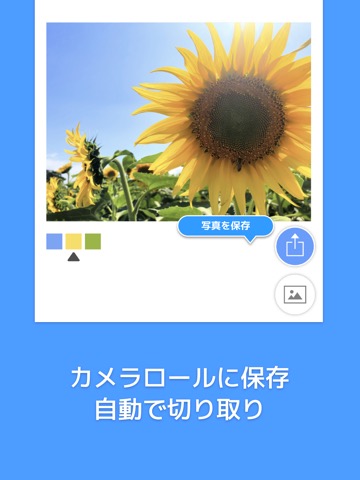 Picolor - 色を抽出できる写真加工アプリのおすすめ画像5