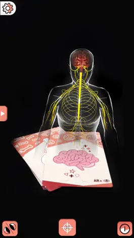 Game screenshot Body cards hack