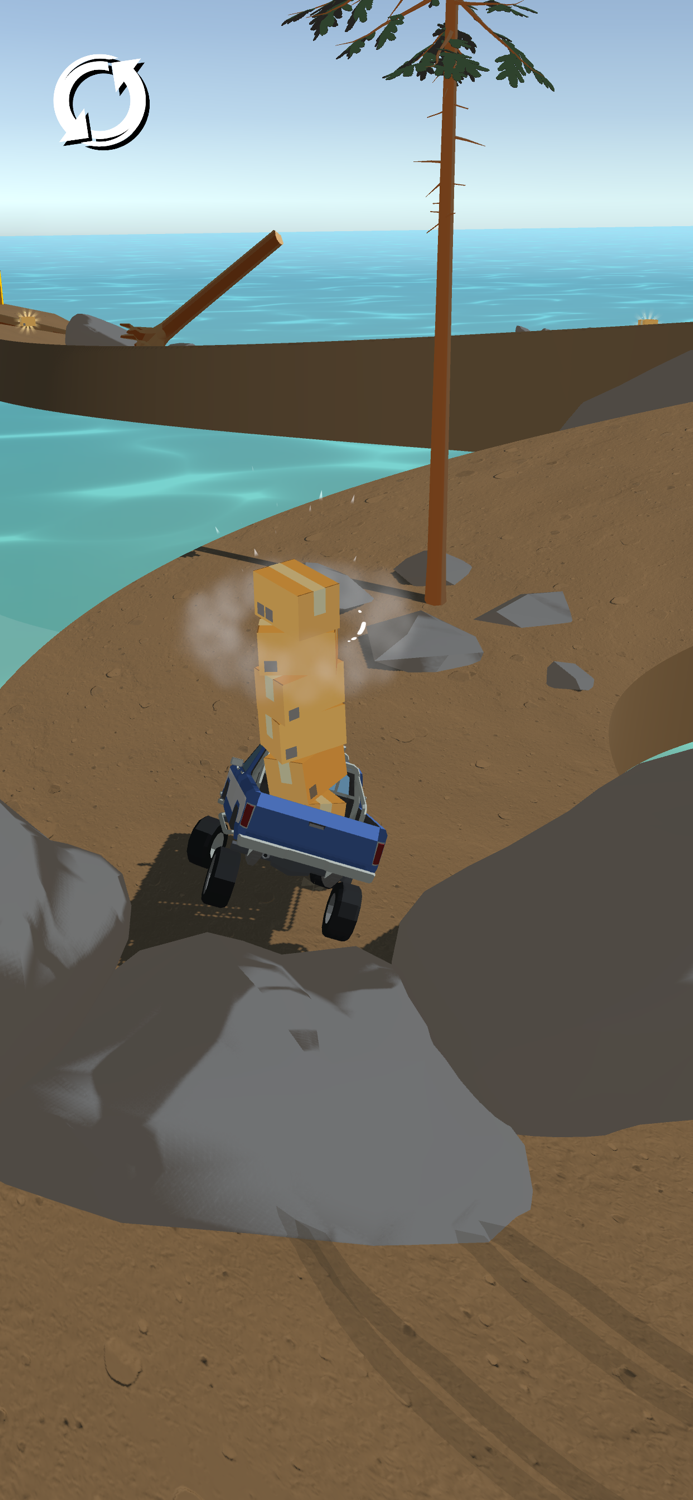 Careful Drive 3D