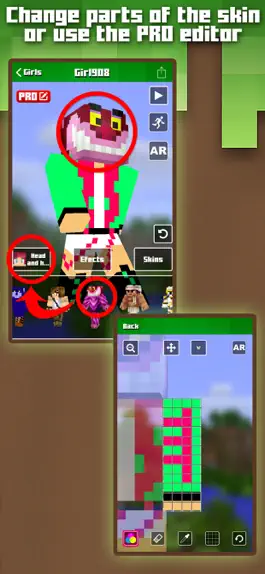 Game screenshot Skins for Minecraft MCPE hack
