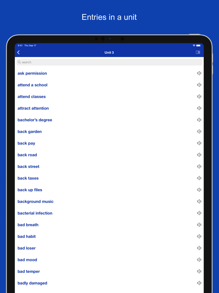 Common Phrases and Collocations
