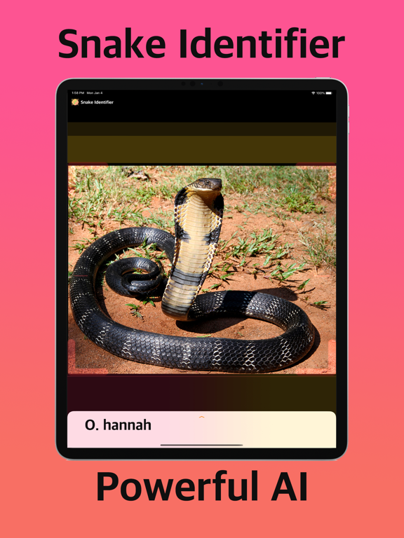 Screenshot #4 pour Snake Identifier