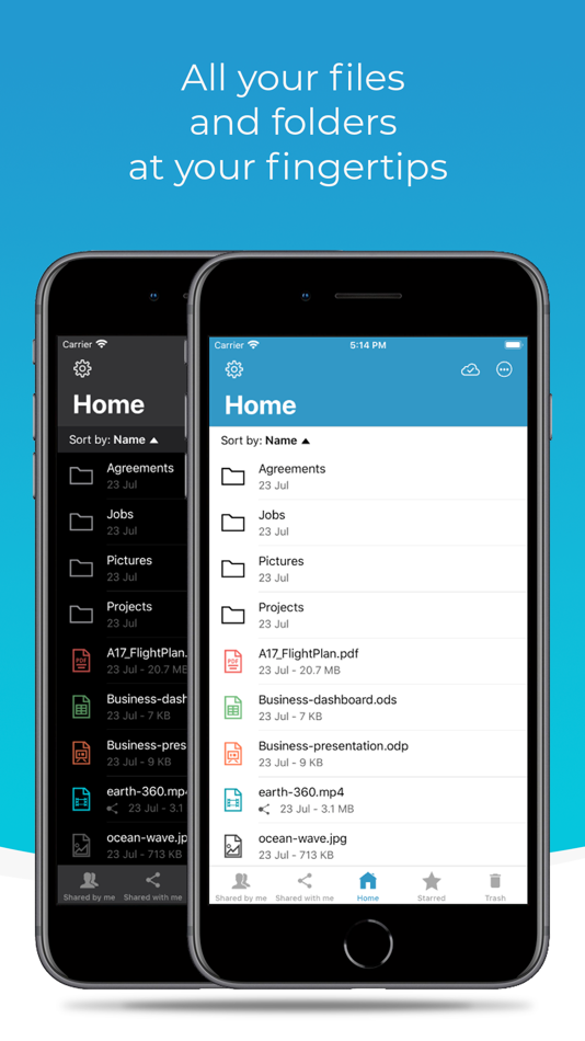 #3. Zx Drive (iOS) By: Zextras