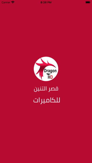 Dragon Palace - قصر التنين Screenshot