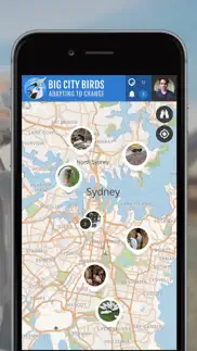 big city birds | spotteron iphone screenshot 2