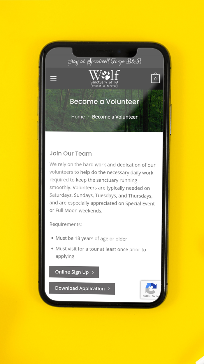 Wolf Sanctuary of PA