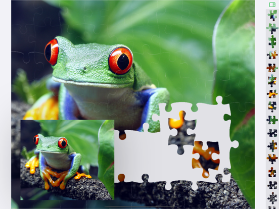 1000 Jigsaw Puzzles Nature iPad app afbeelding 8