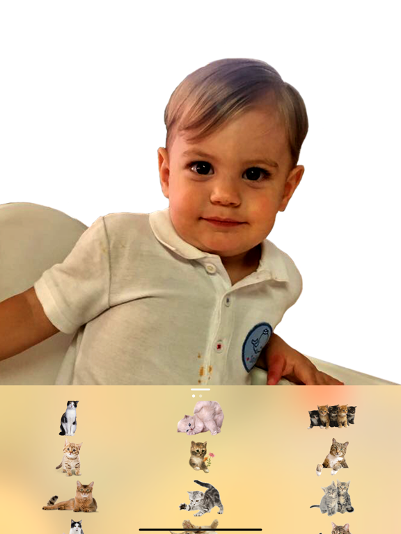 Screenshot #6 pour Chats dans vos photos