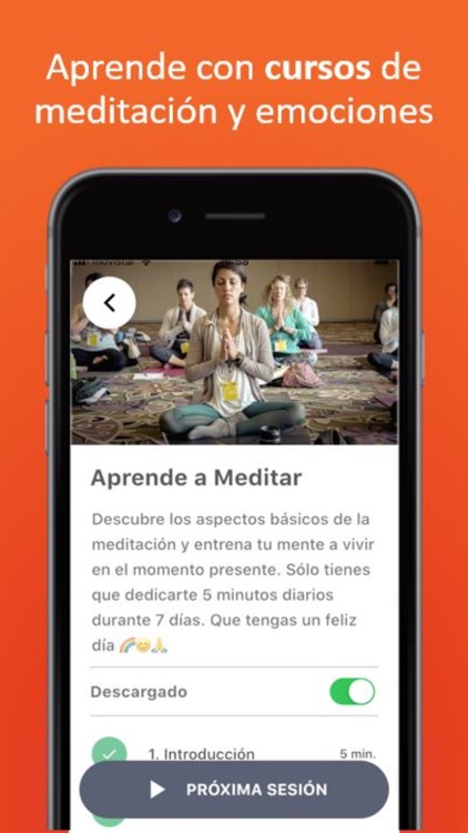 Meditación Guiada Elefante Zen screenshot-6