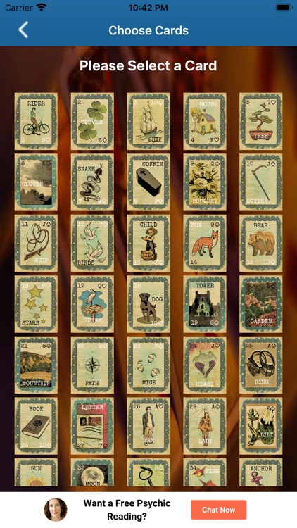 Lenormand Tarot App screenshot-7