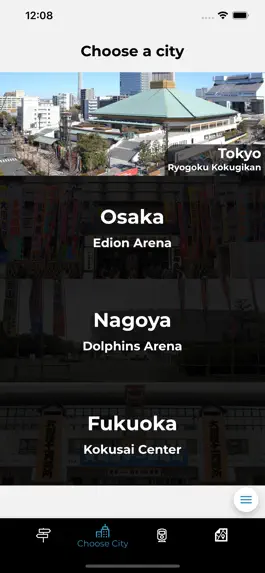 Game screenshot A Day At Sumo hack