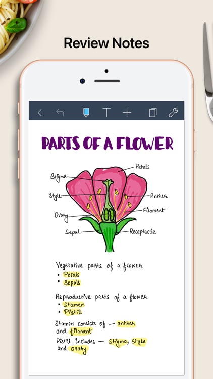 Noteshelf - Notes, Annotations