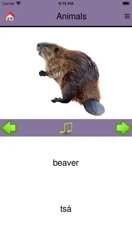 Game screenshot BNDN Dene Language App hack