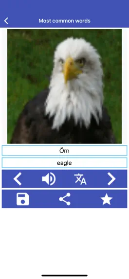Game screenshot Swedish Learning mod apk