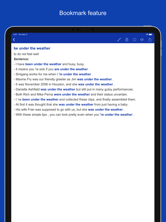 Common Phrases and Collocations