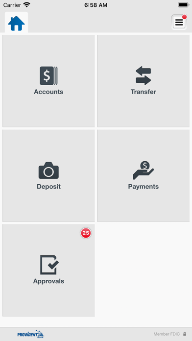 MyProvident Business Mobile Screenshot