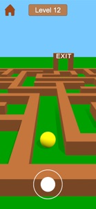 Maze Games 3D - Fun Easy Game screenshot #2 for iPhone